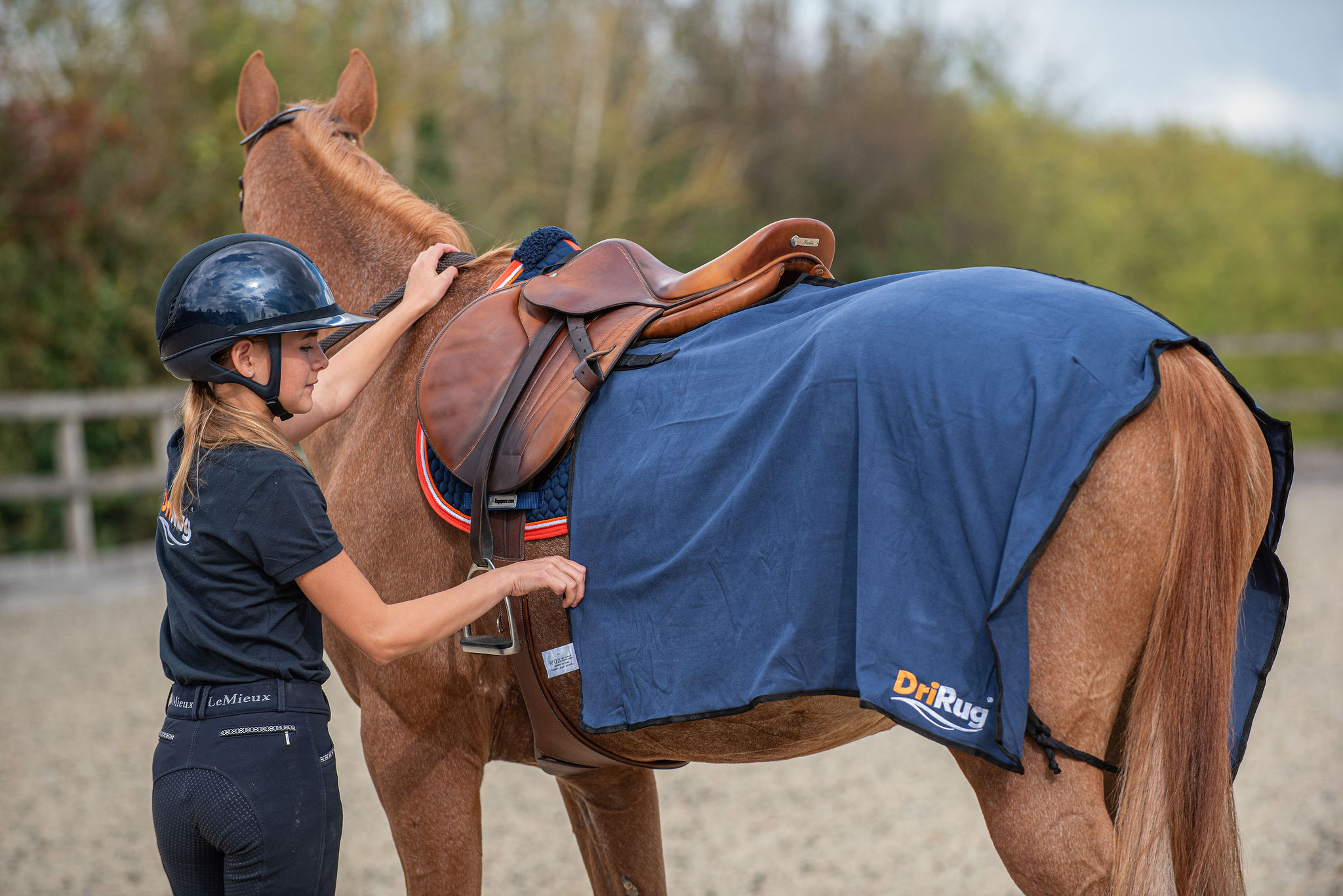 DriRug® Quarter Sheet - Image 3