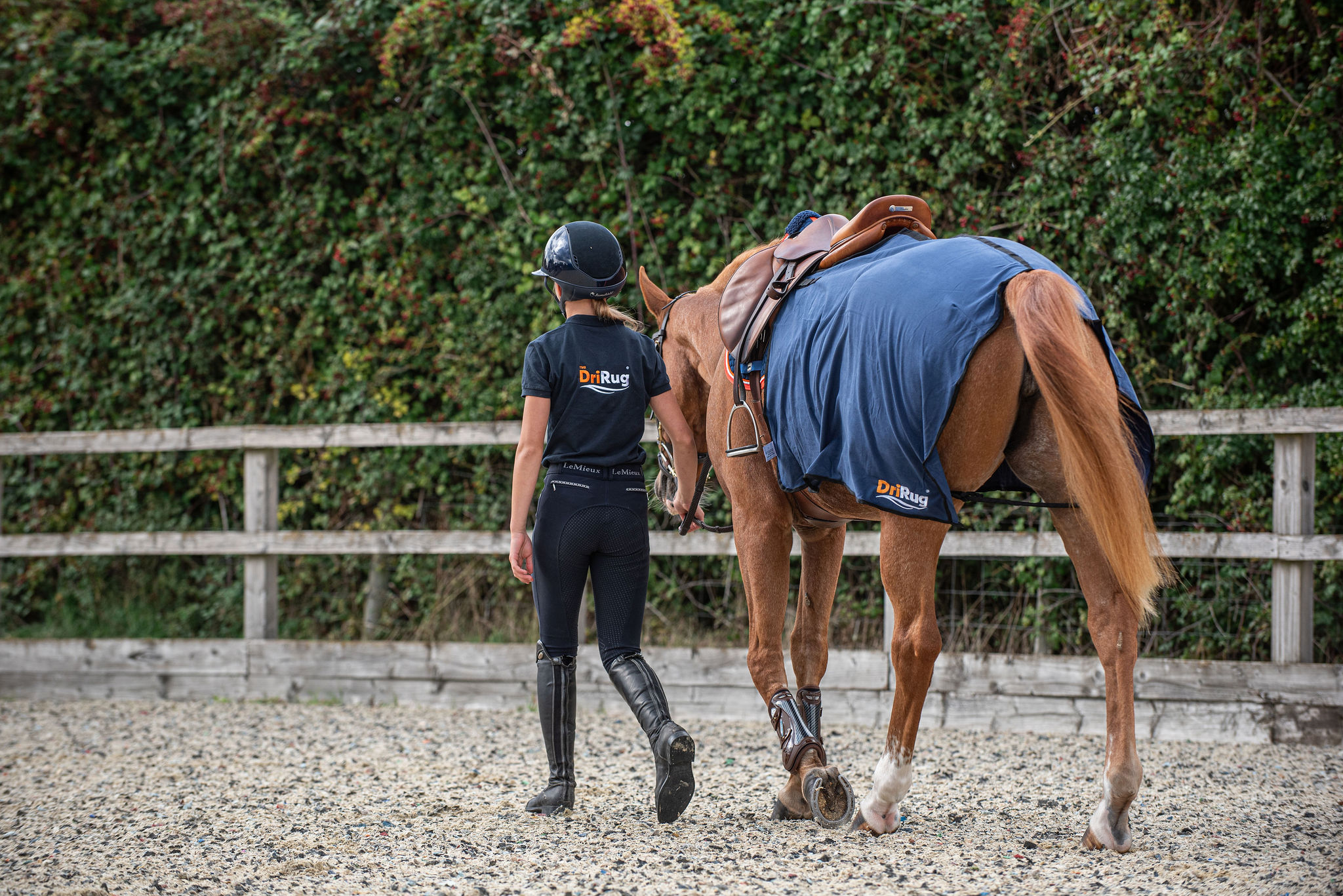 DriRug® Quarter Sheet - Image 4