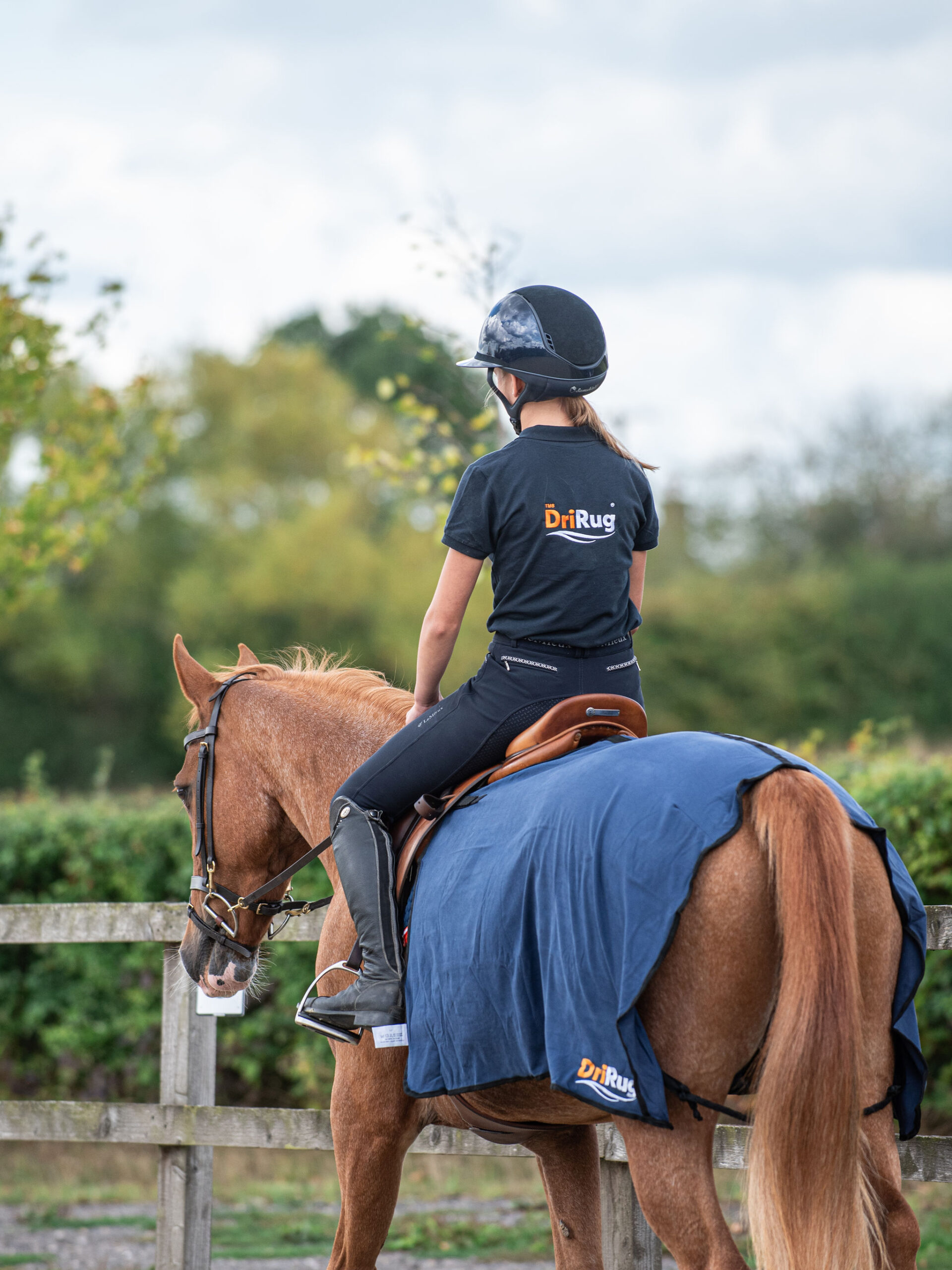 DriRug® Quarter Sheet - Image 6