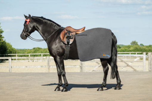 DriRug® Quarter Sheet