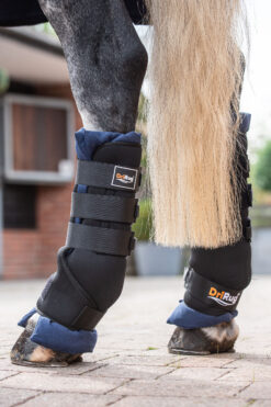 Alternative view of DriRug Horse Leg Wraps