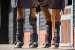 DriRug Horse Leg Wraps