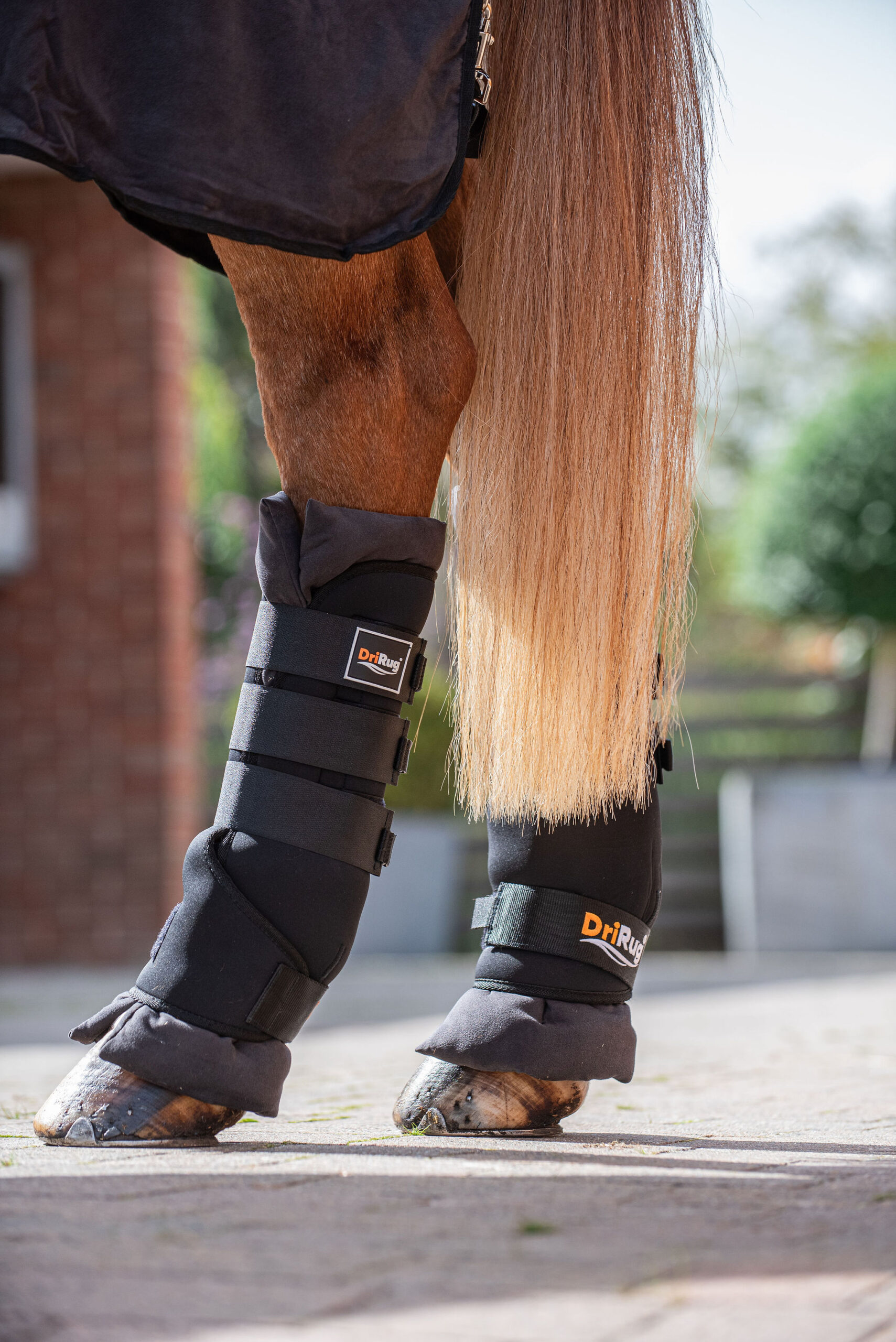 DriRug Horse Leg Wraps - Image 7